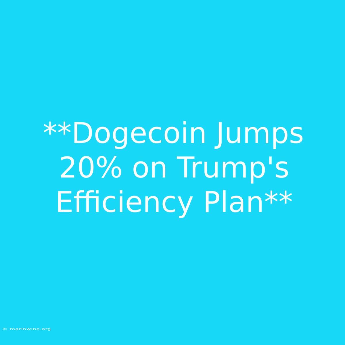 **Dogecoin Jumps 20% On Trump's Efficiency Plan**