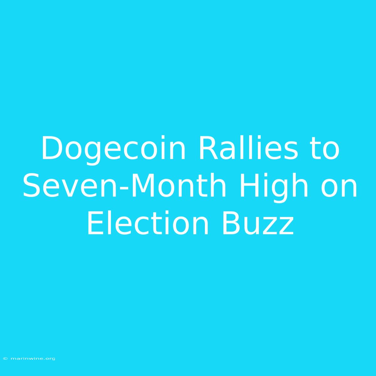 Dogecoin Rallies To Seven-Month High On Election Buzz 