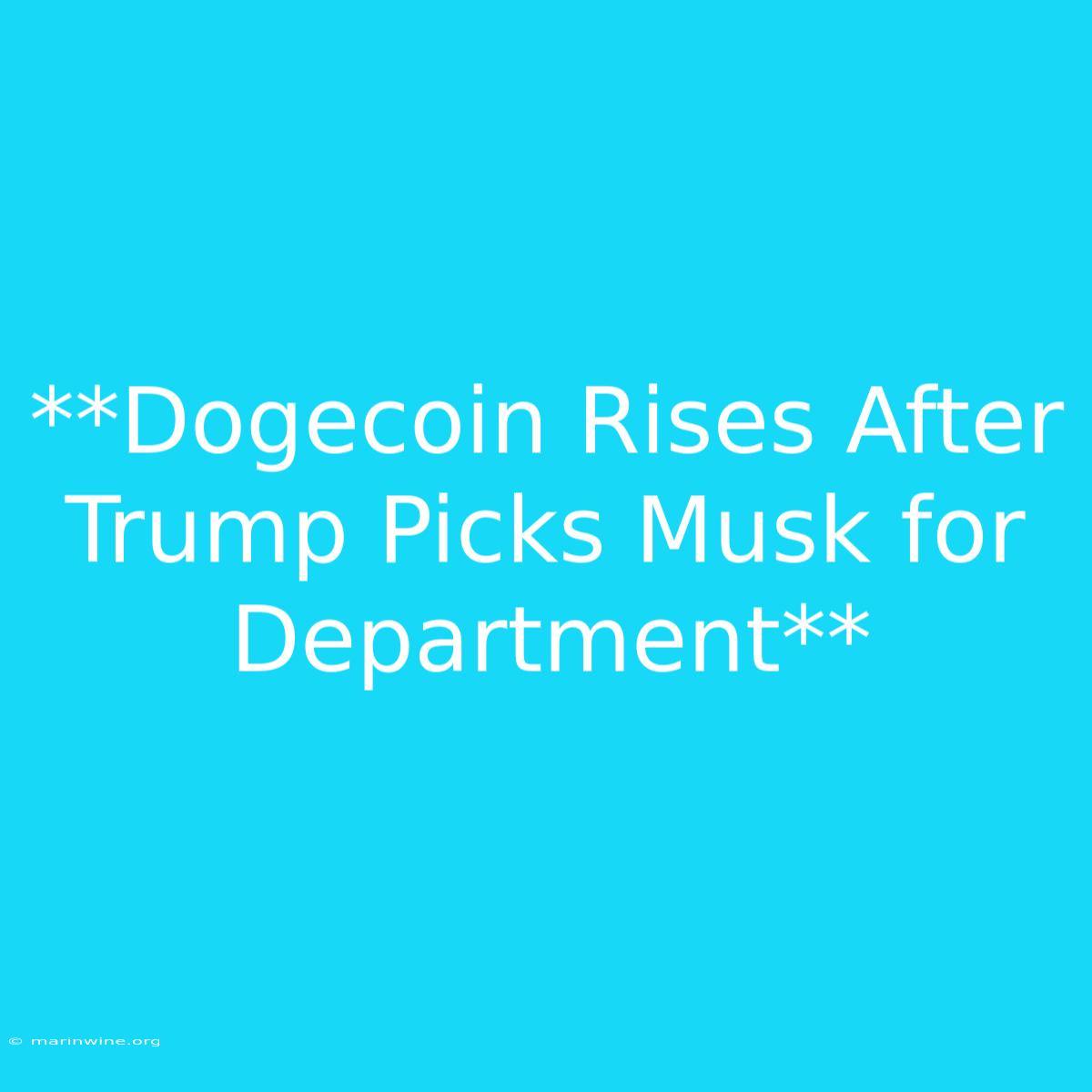 **Dogecoin Rises After Trump Picks Musk For Department**