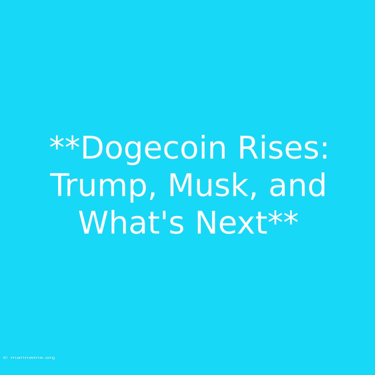 **Dogecoin Rises: Trump, Musk, And What's Next** 