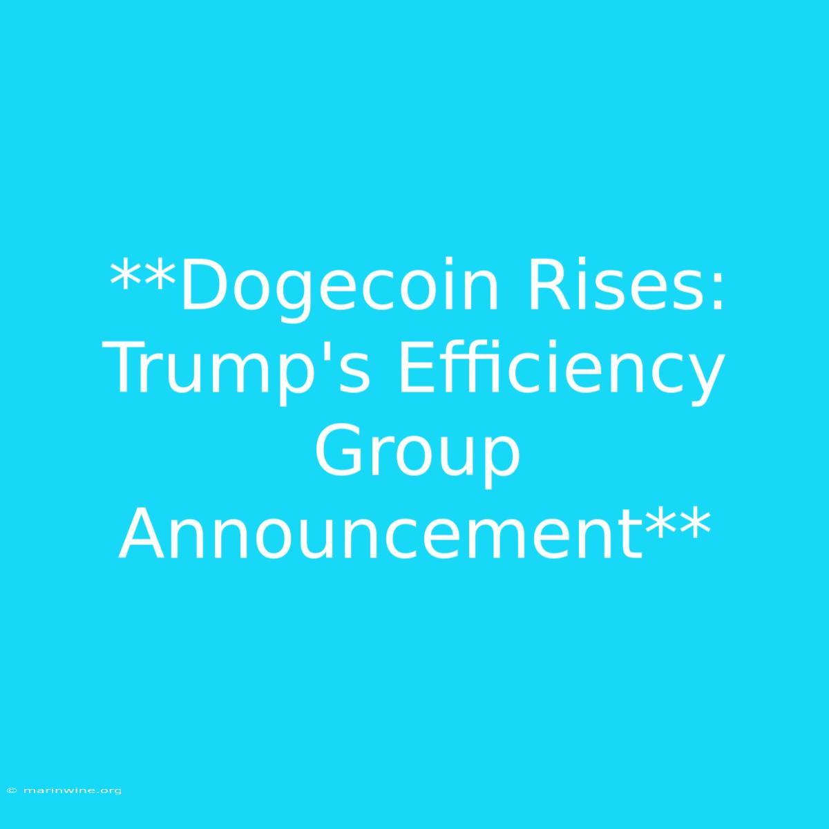 **Dogecoin Rises: Trump's Efficiency Group Announcement**