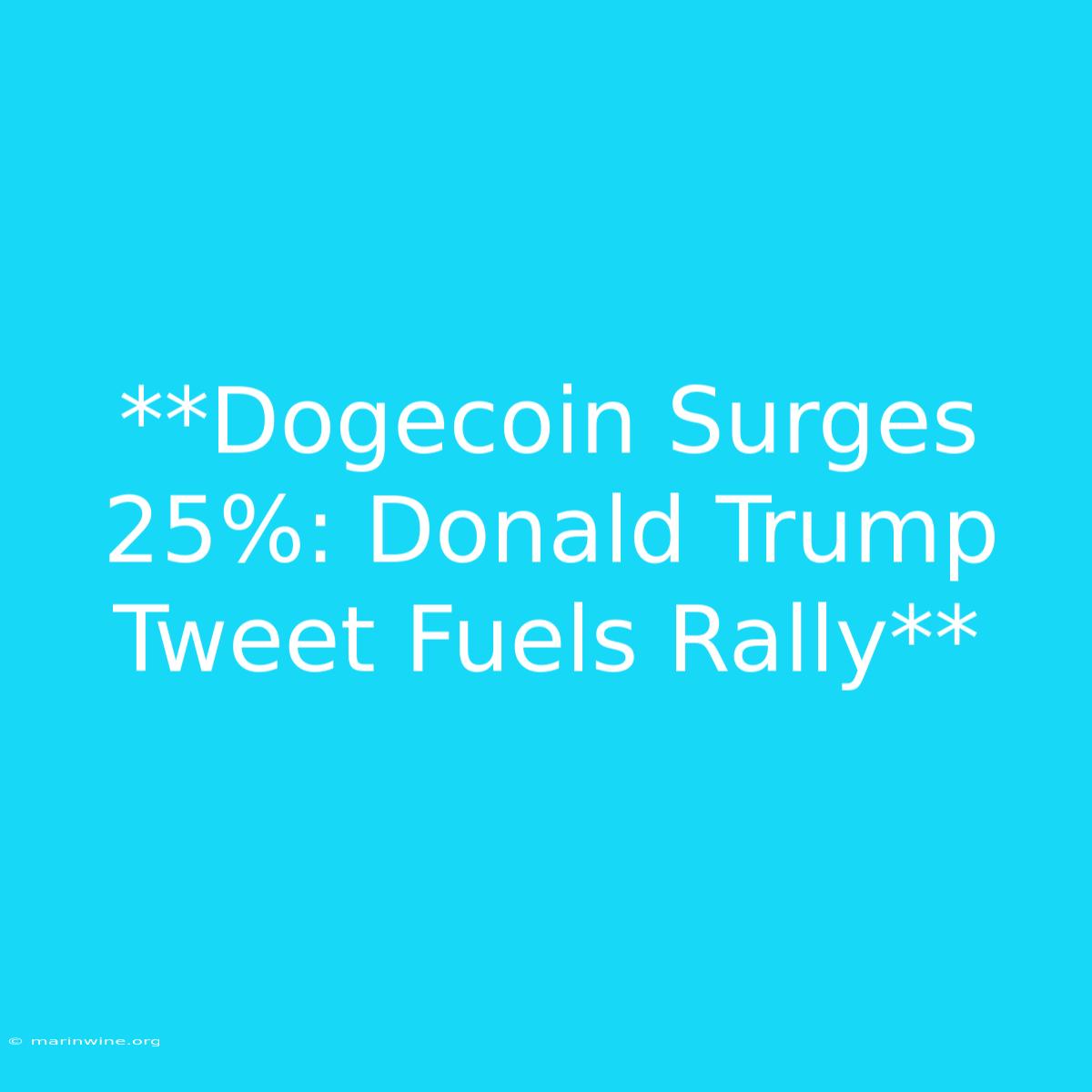 **Dogecoin Surges 25%: Donald Trump Tweet Fuels Rally** 