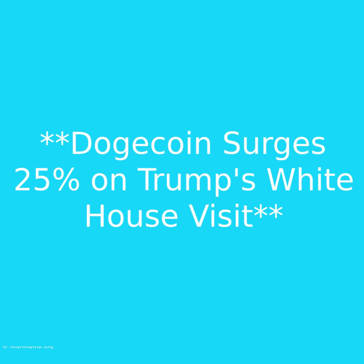 **Dogecoin Surges 25% On Trump's White House Visit** 