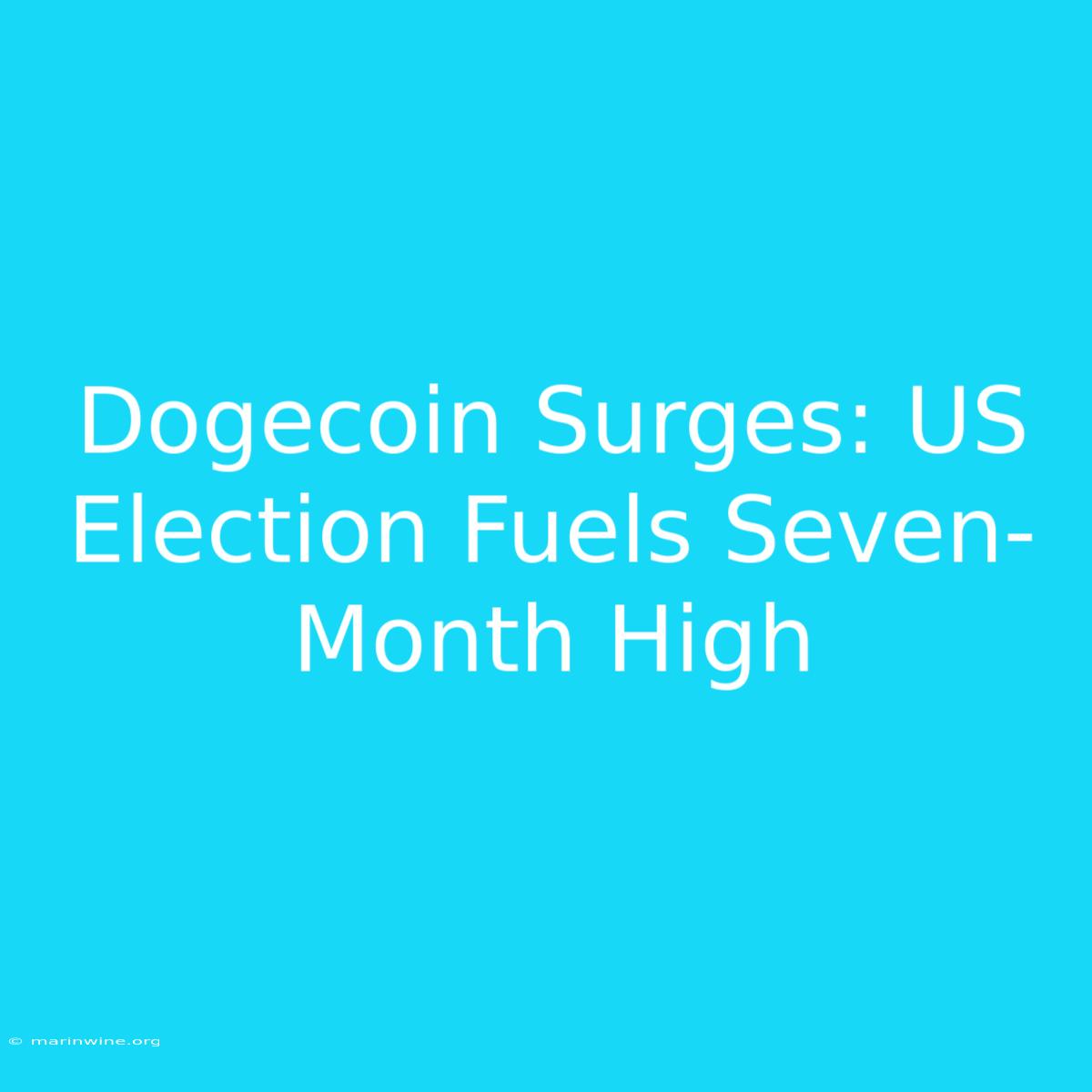 Dogecoin Surges: US Election Fuels Seven-Month High