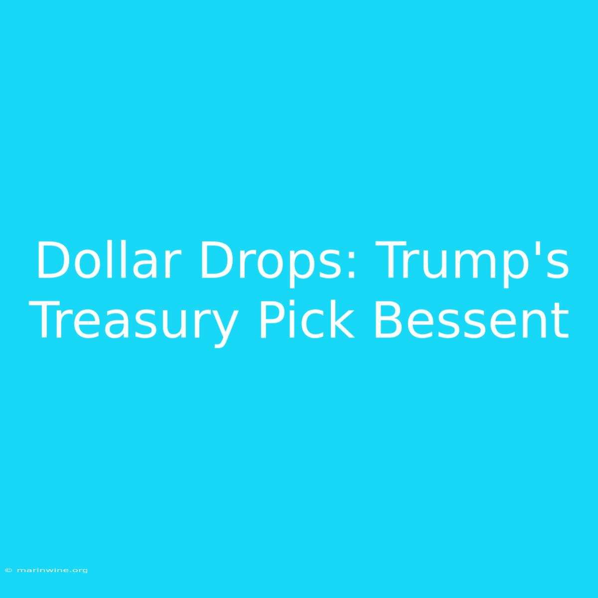 Dollar Drops: Trump's Treasury Pick Bessent