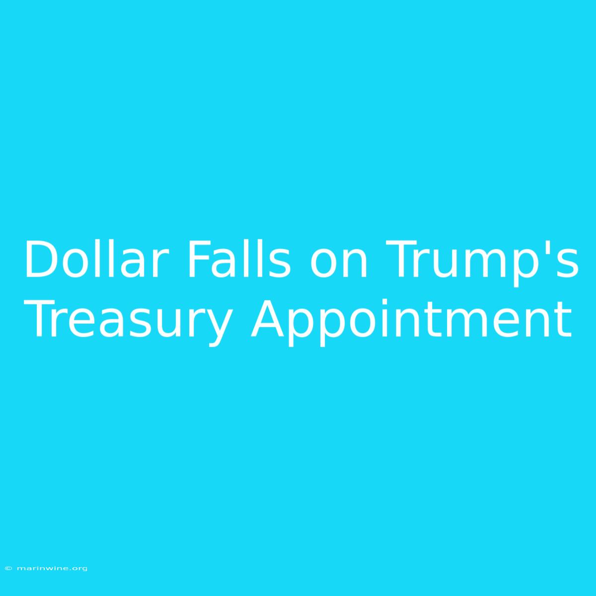 Dollar Falls On Trump's Treasury Appointment