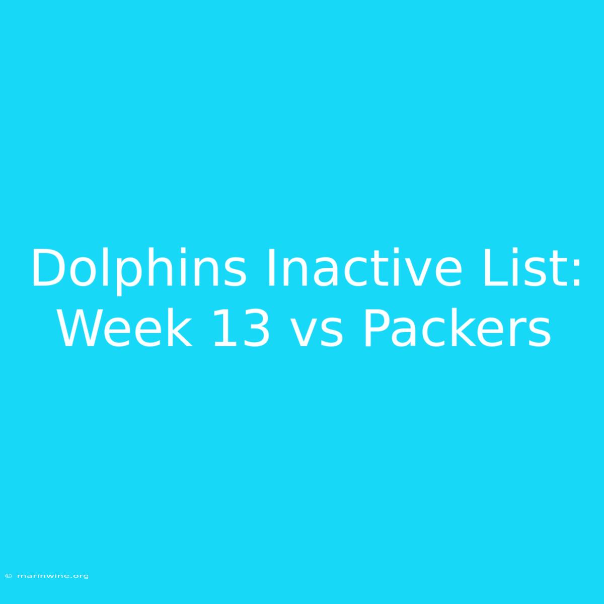 Dolphins Inactive List: Week 13 Vs Packers