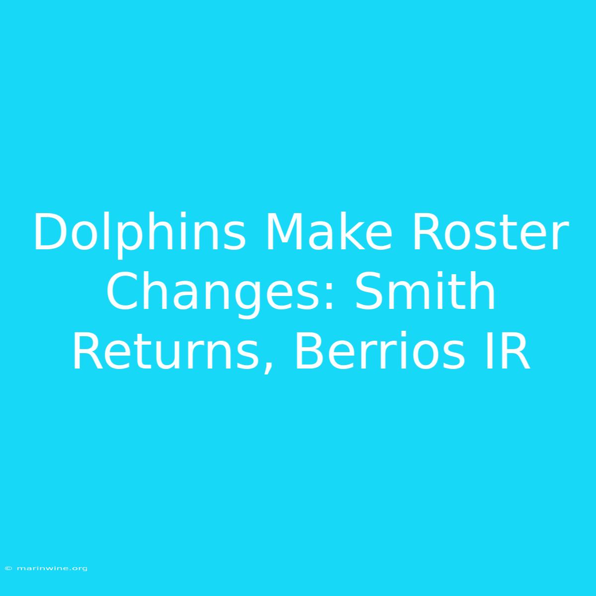 Dolphins Make Roster Changes: Smith Returns, Berrios IR 