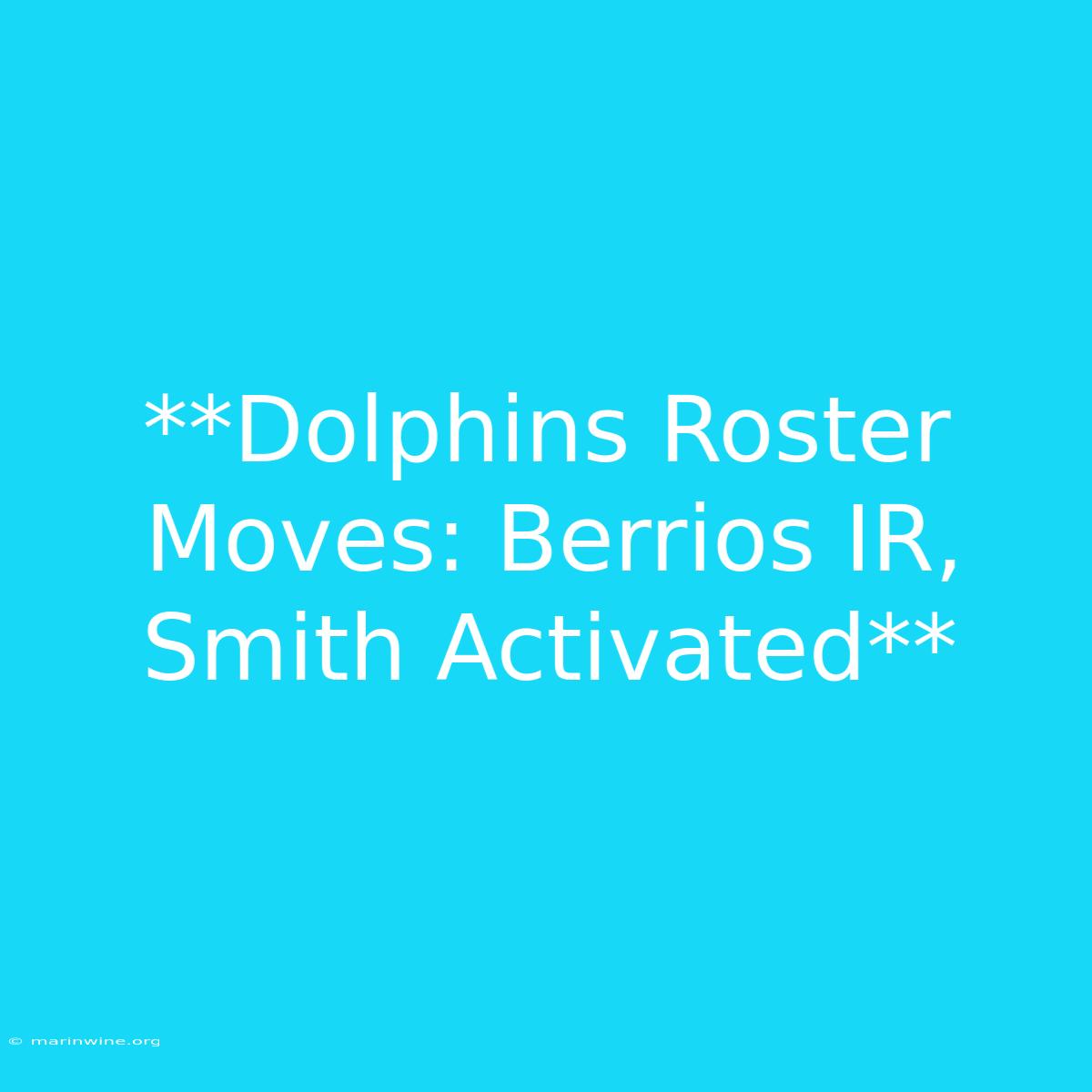 **Dolphins Roster Moves: Berrios IR, Smith Activated** 