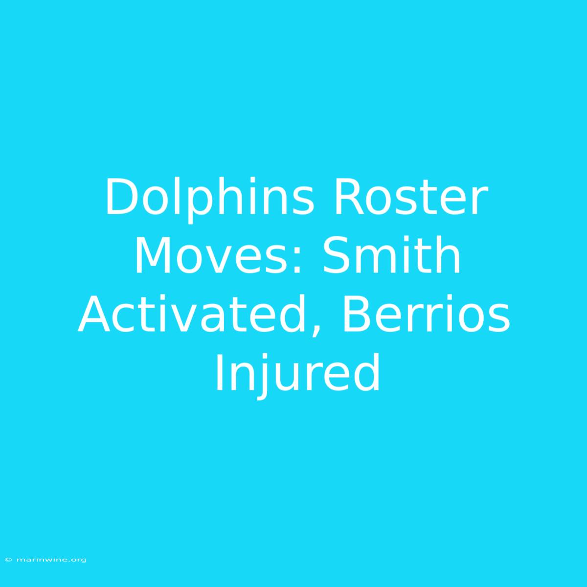 Dolphins Roster Moves: Smith Activated, Berrios Injured