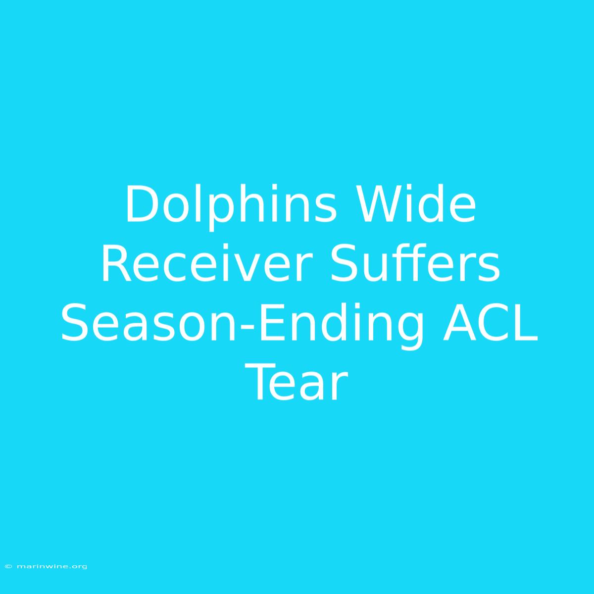 Dolphins Wide Receiver Suffers Season-Ending ACL Tear