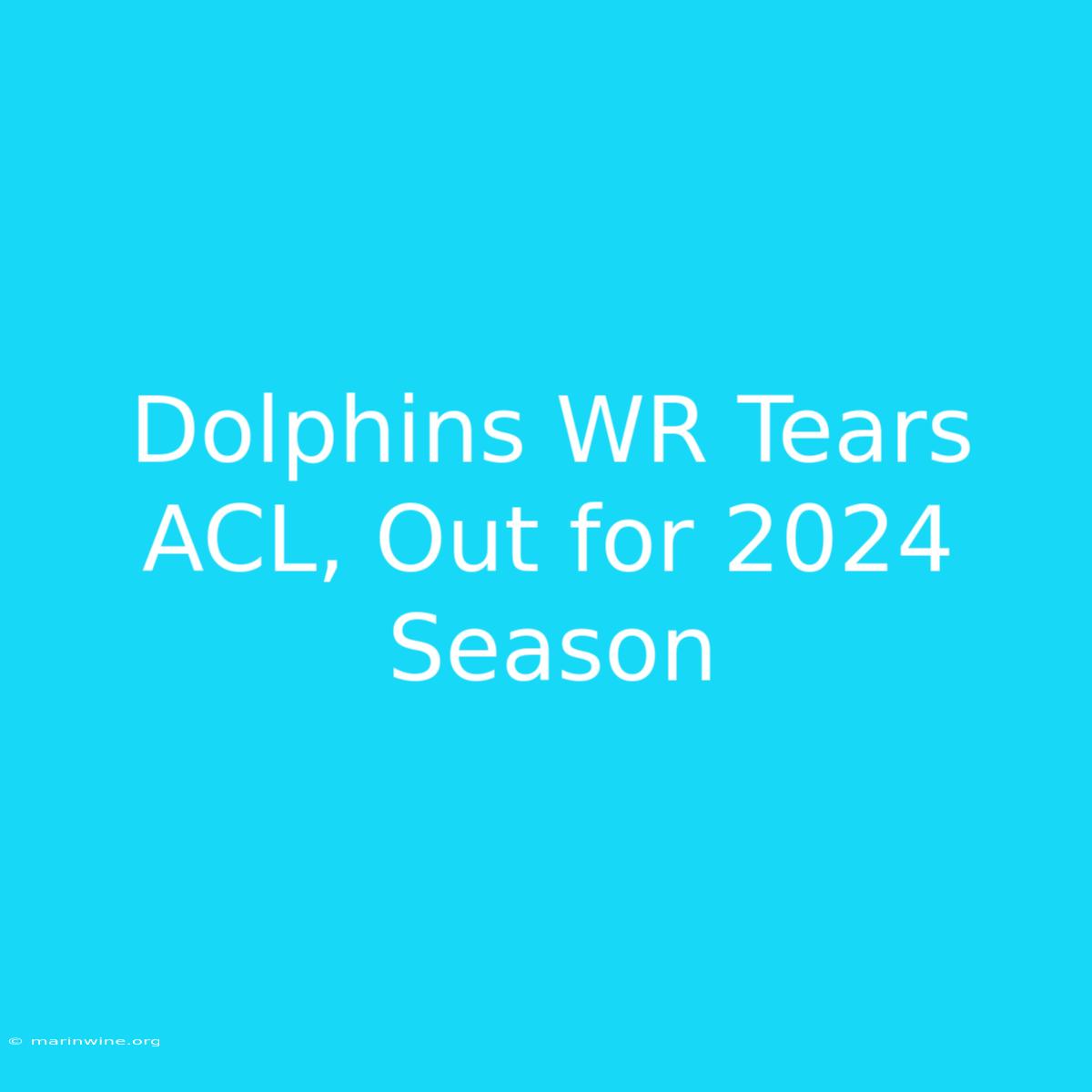 Dolphins WR Tears ACL, Out For 2024 Season