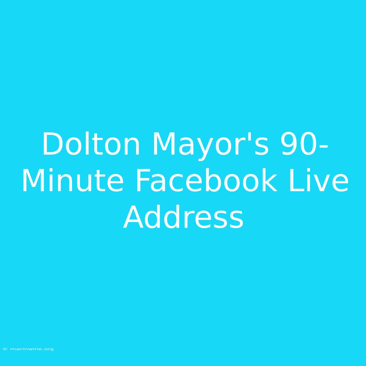 Dolton Mayor's 90-Minute Facebook Live Address