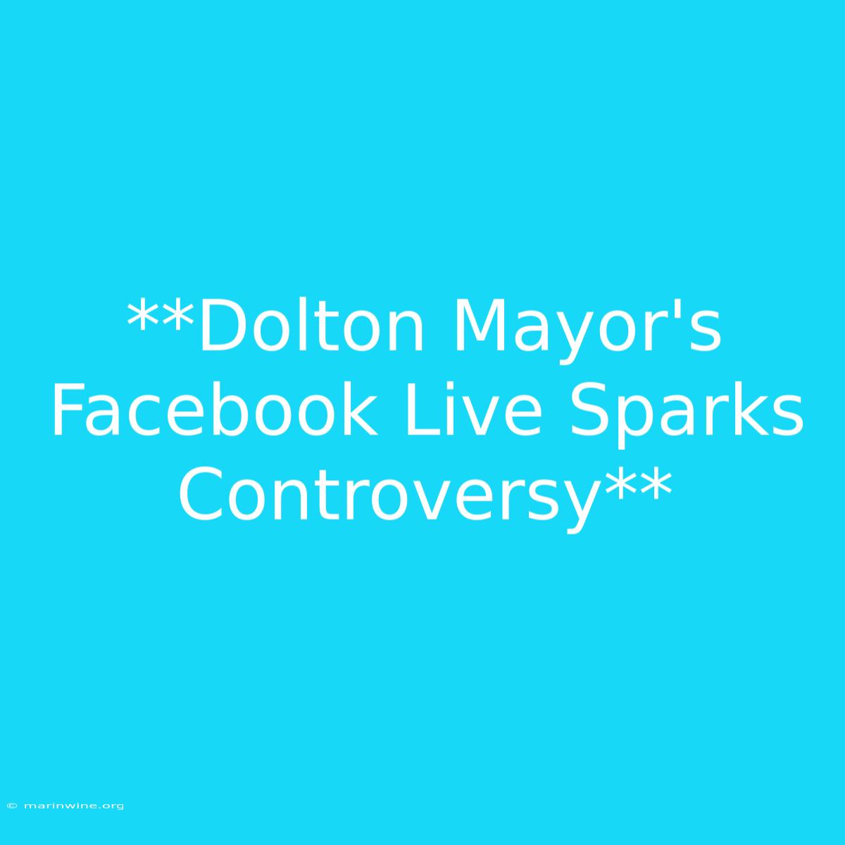 **Dolton Mayor's Facebook Live Sparks Controversy** 