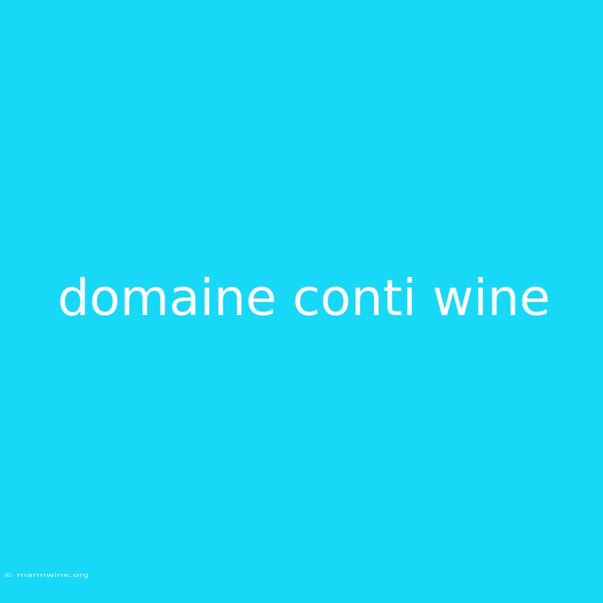 Domaine Conti Wine