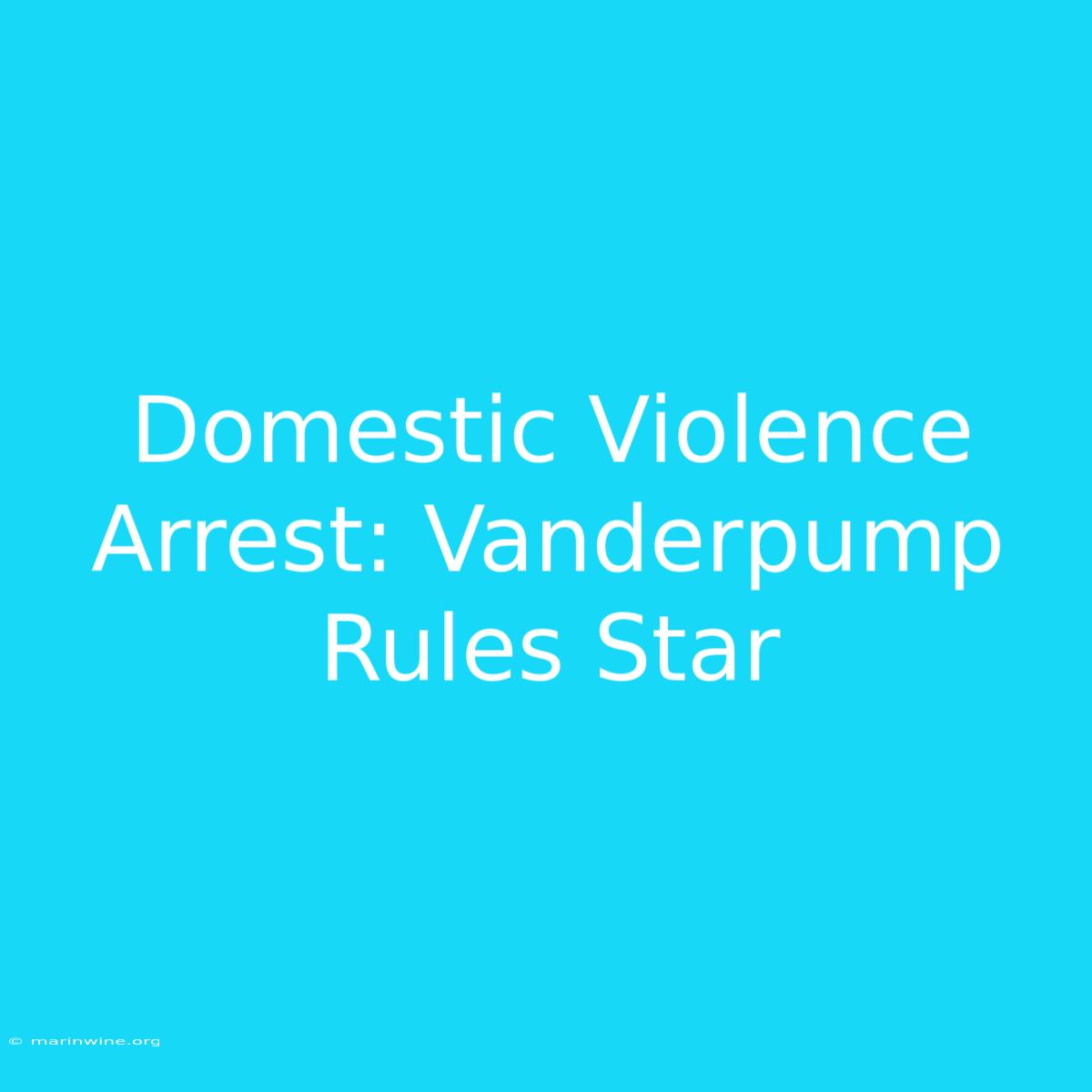 Domestic Violence Arrest: Vanderpump Rules Star