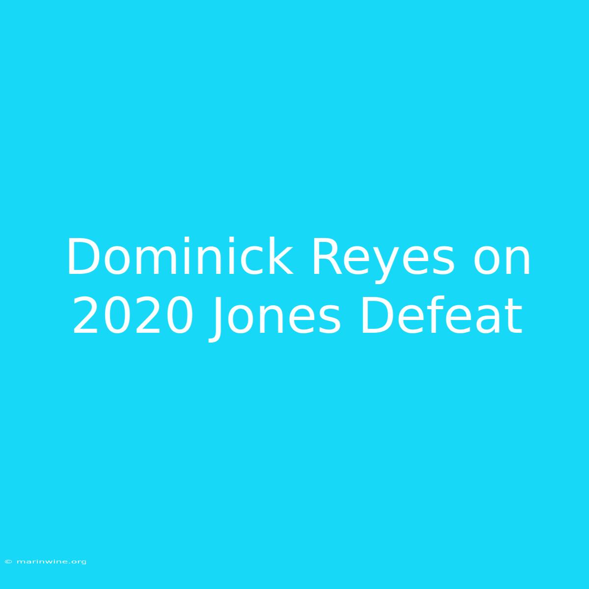 Dominick Reyes On 2020 Jones Defeat