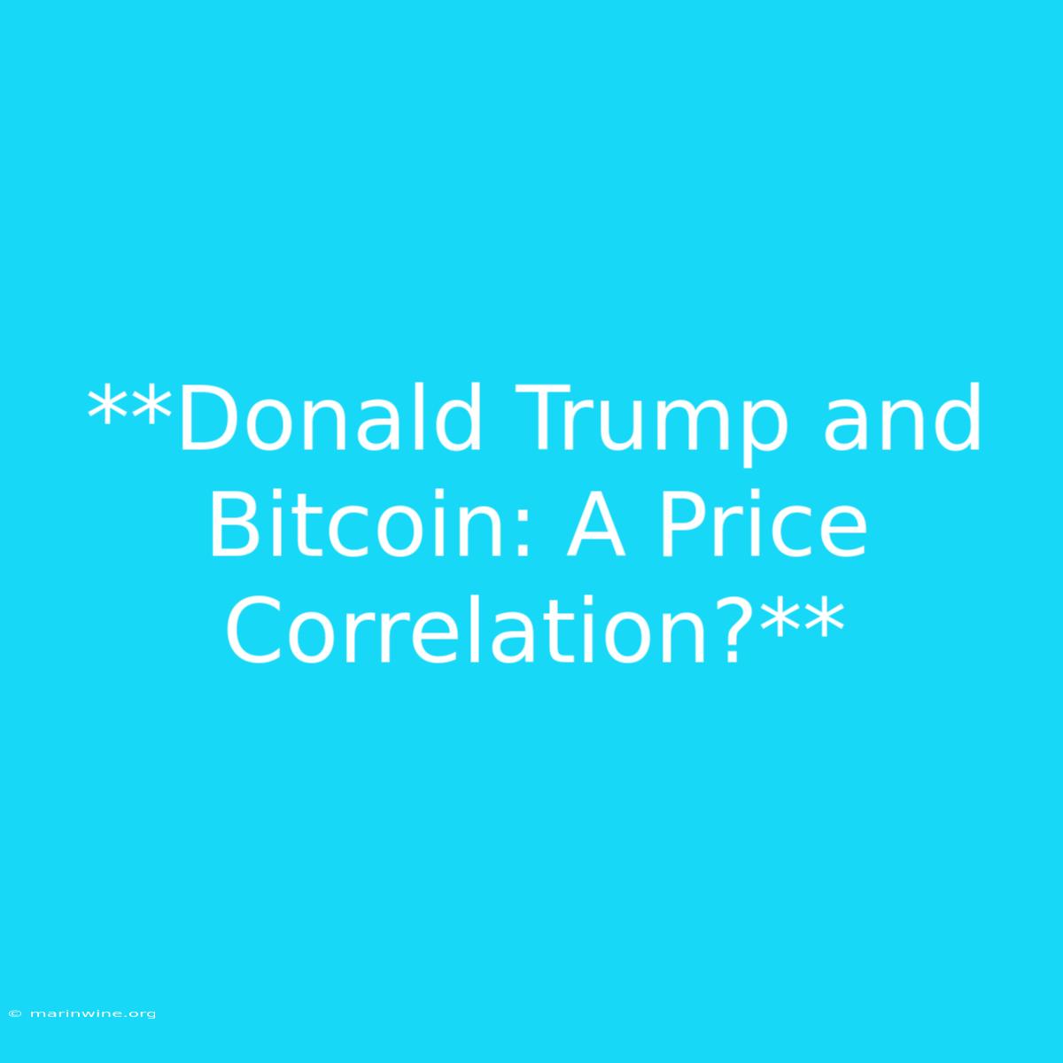 **Donald Trump And Bitcoin: A Price Correlation?** 