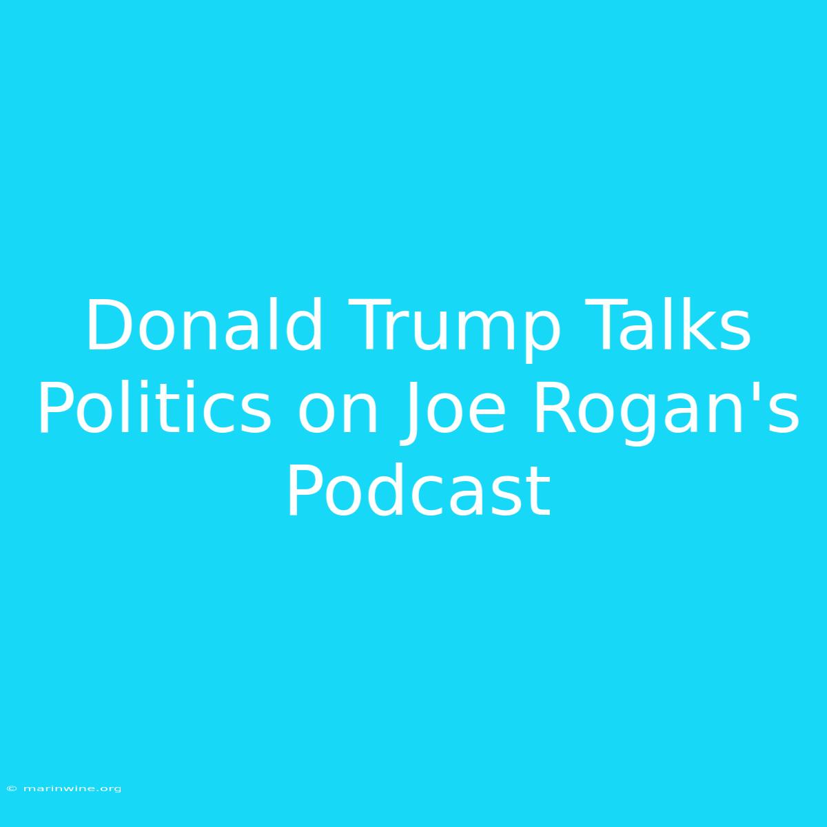 Donald Trump Talks Politics On Joe Rogan's Podcast