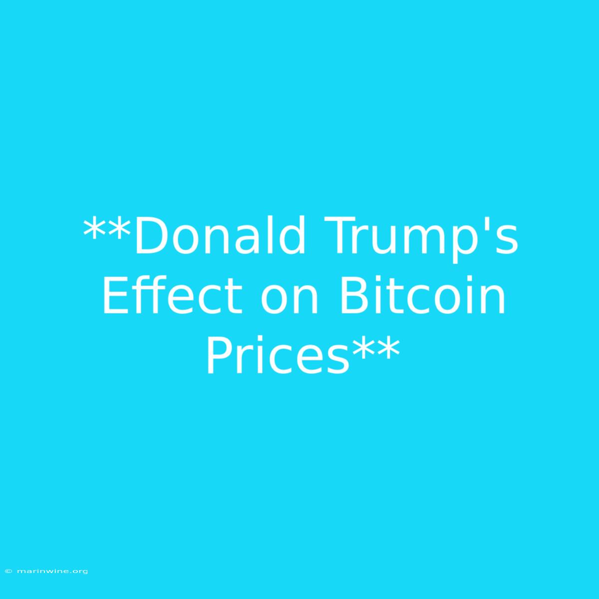 **Donald Trump's Effect On Bitcoin Prices** 