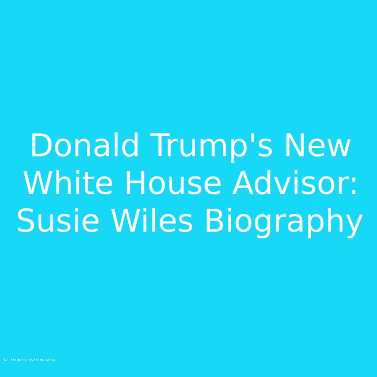 Donald Trump's New White House Advisor: Susie Wiles Biography 