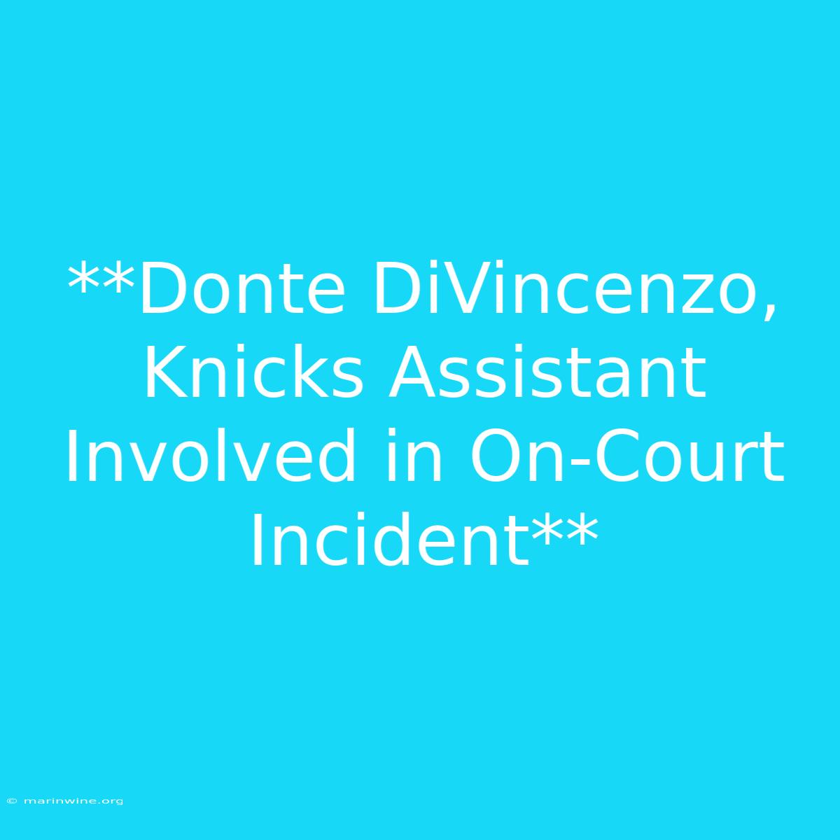 **Donte DiVincenzo, Knicks Assistant Involved In On-Court Incident** 