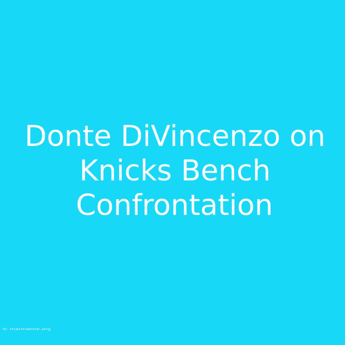 Donte DiVincenzo On Knicks Bench Confrontation 