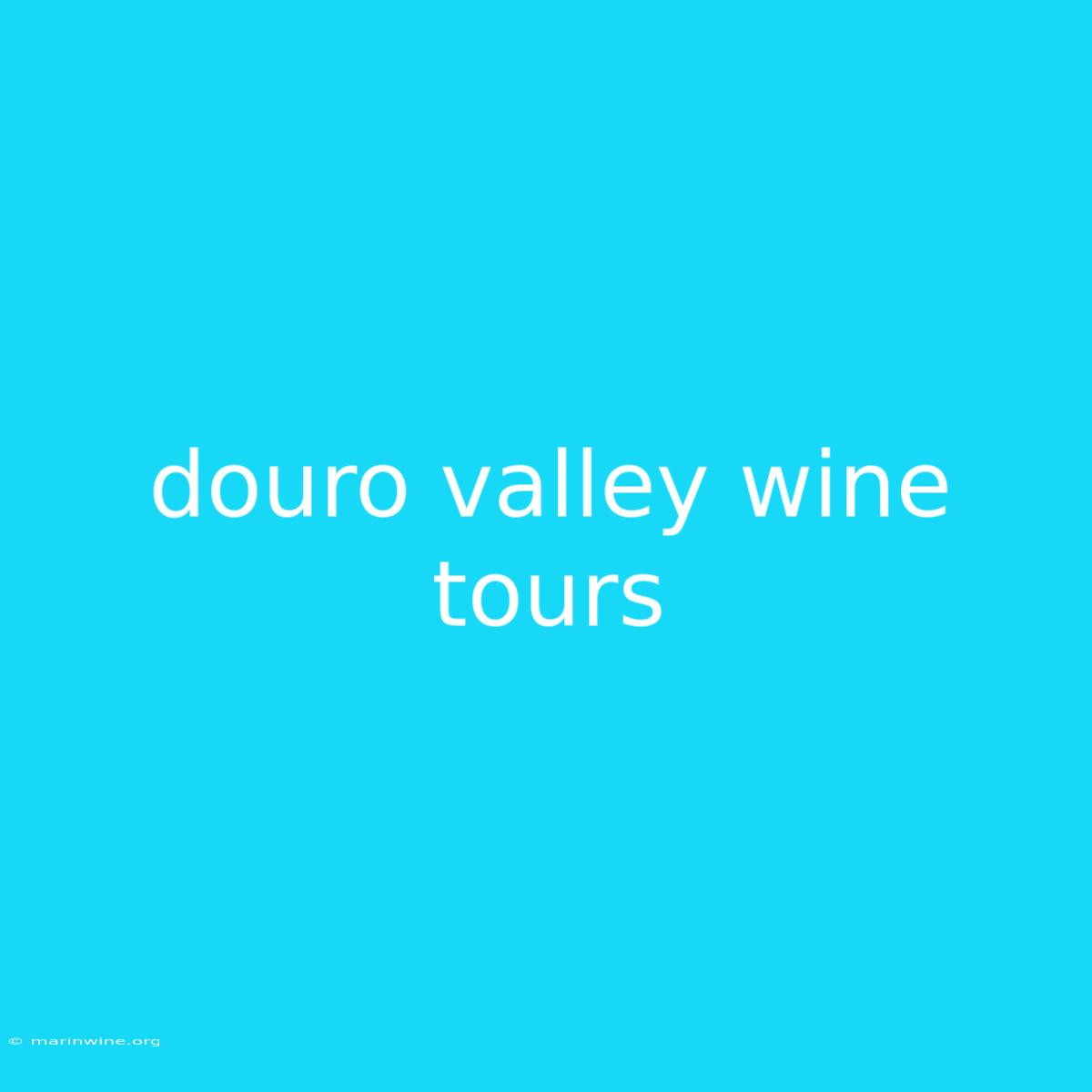 Douro Valley Wine Tours