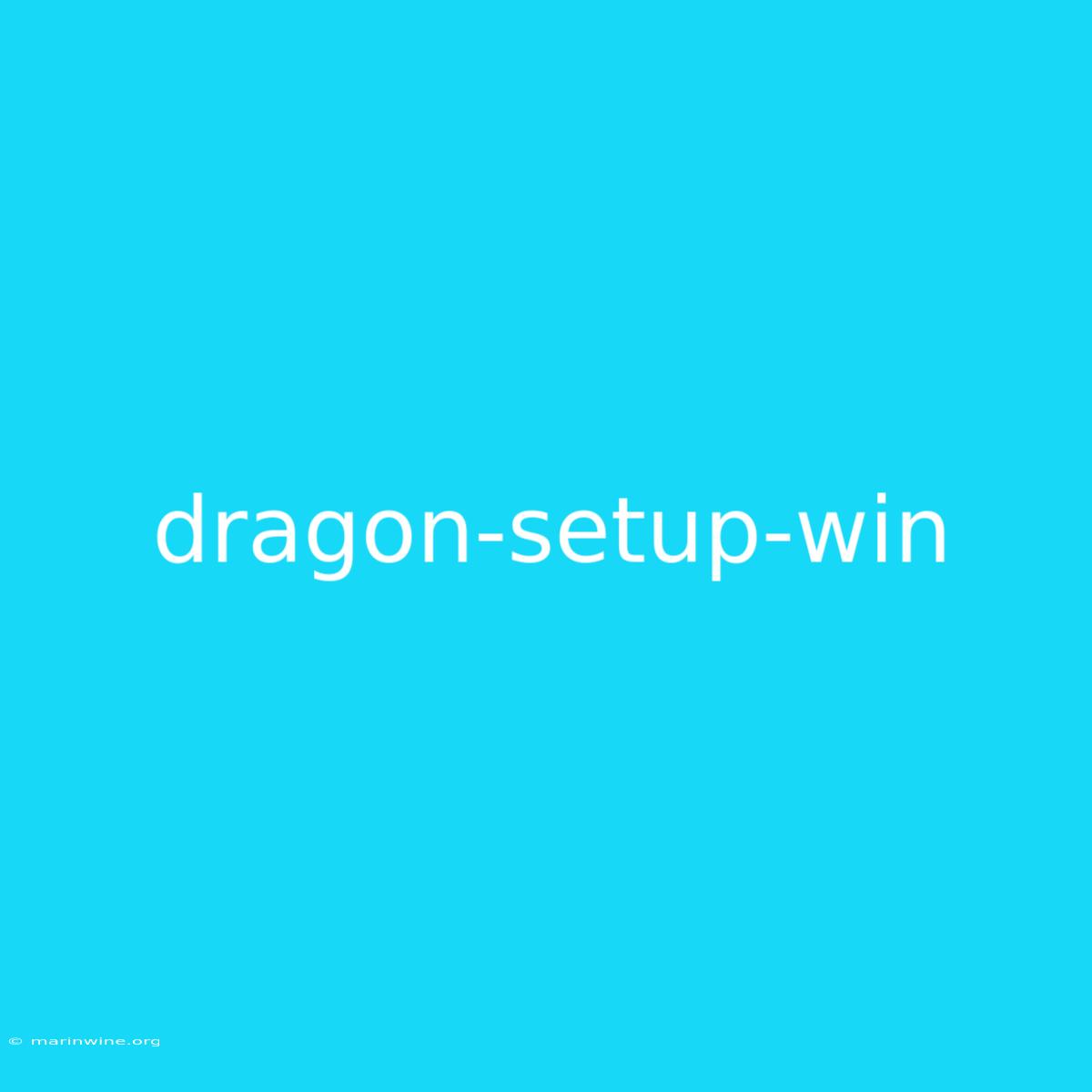 Dragon-setup-win