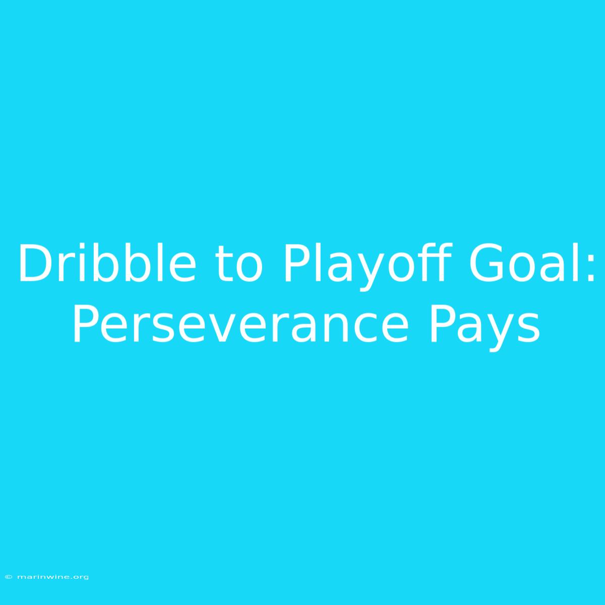 Dribble To Playoff Goal: Perseverance Pays