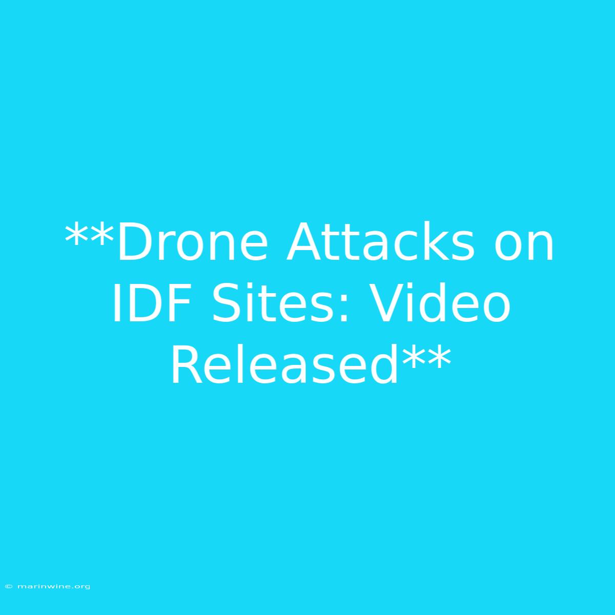 **Drone Attacks On IDF Sites: Video Released**