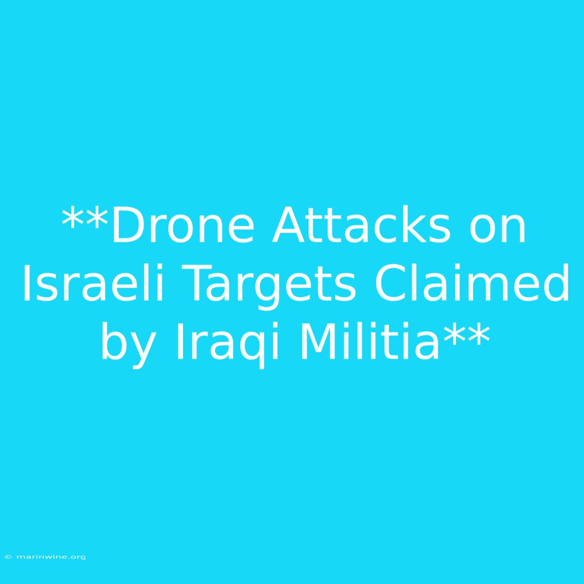 **Drone Attacks On Israeli Targets Claimed By Iraqi Militia**