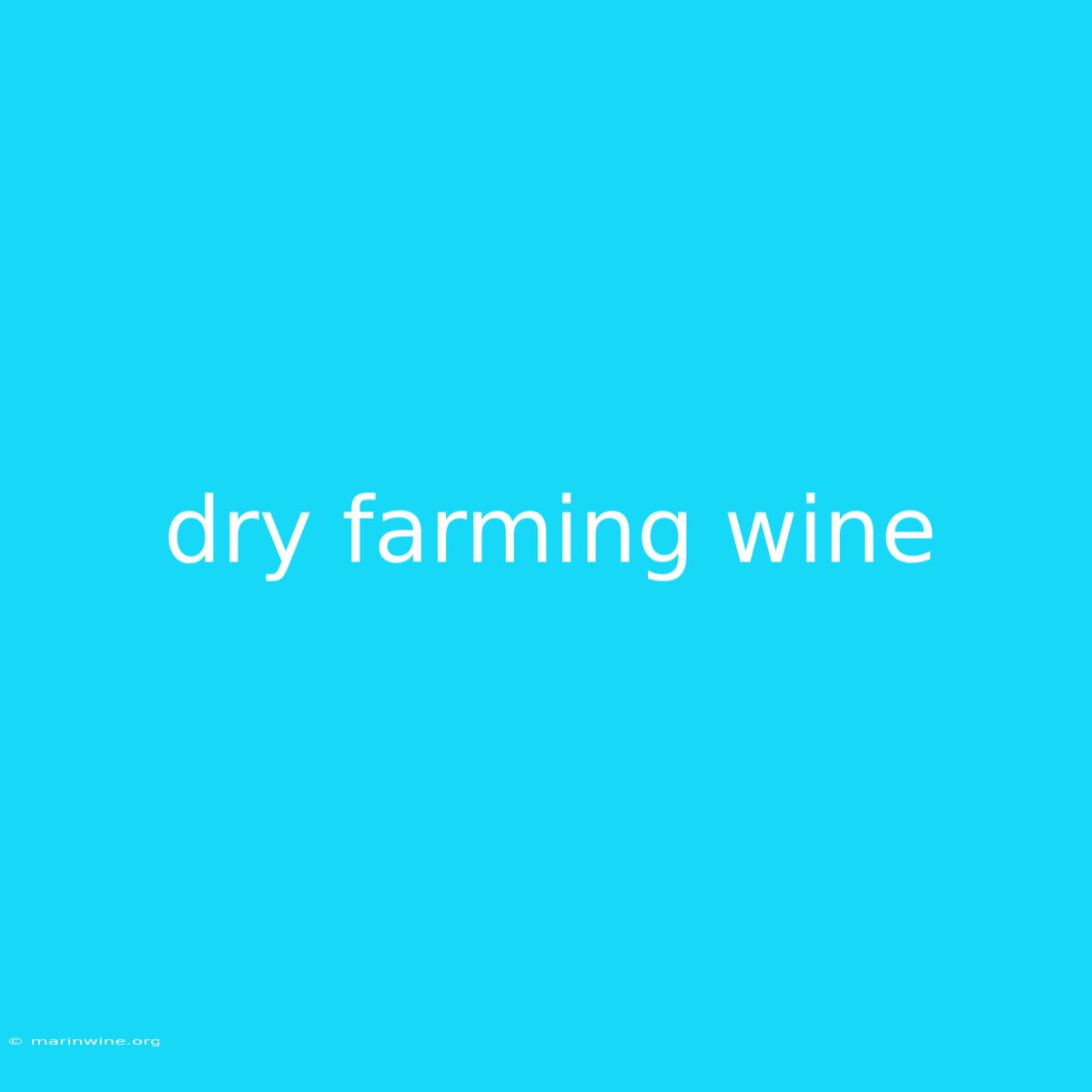 Dry Farming Wine