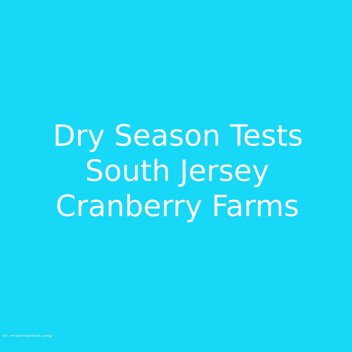 Dry Season Tests South Jersey Cranberry Farms