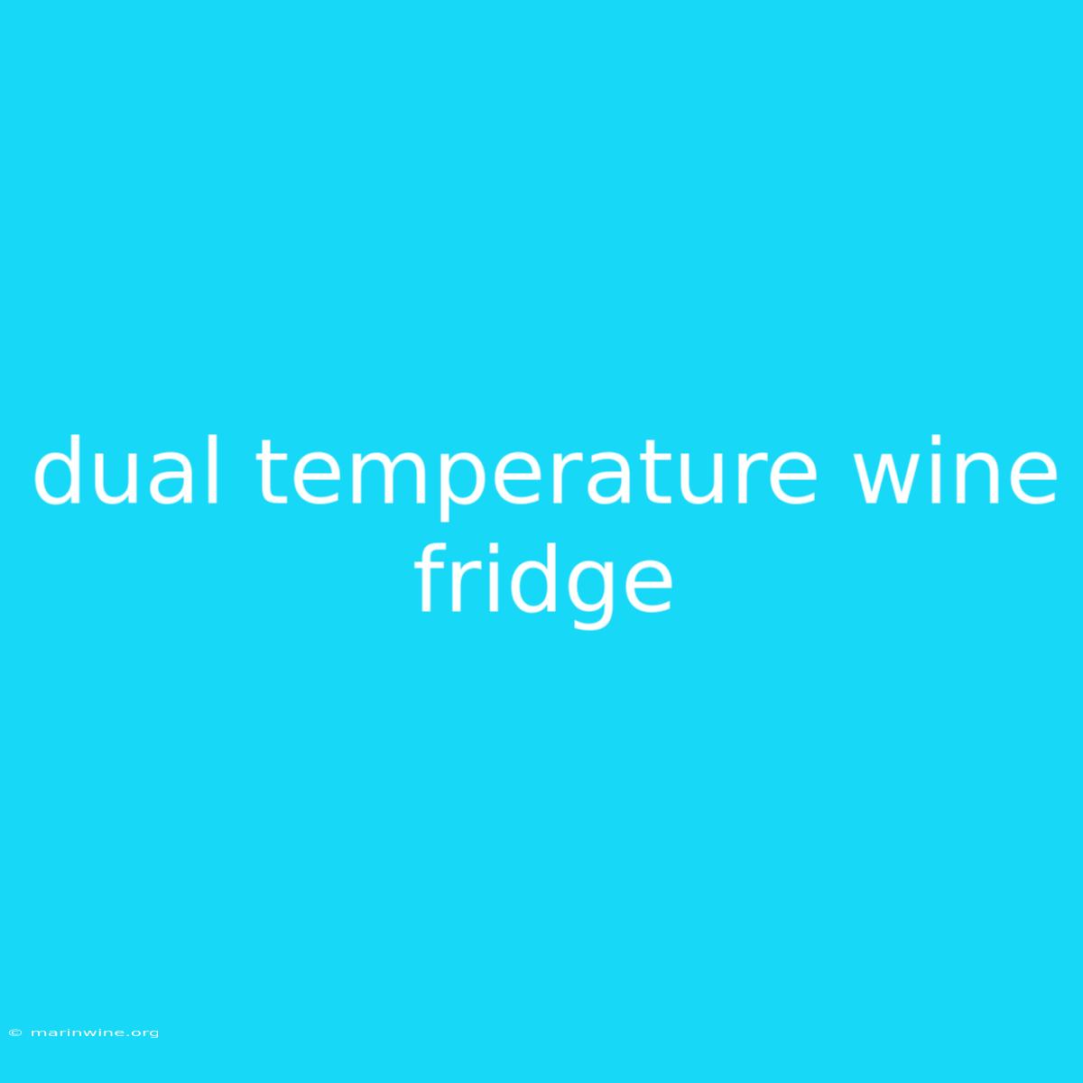 Dual Temperature Wine Fridge