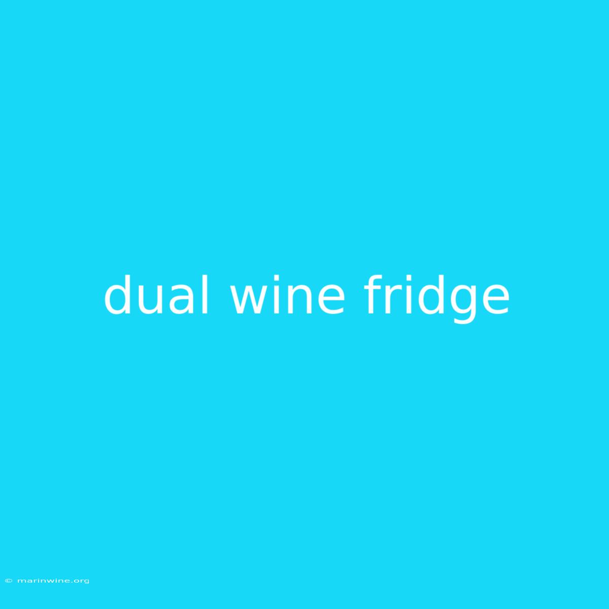 Dual Wine Fridge