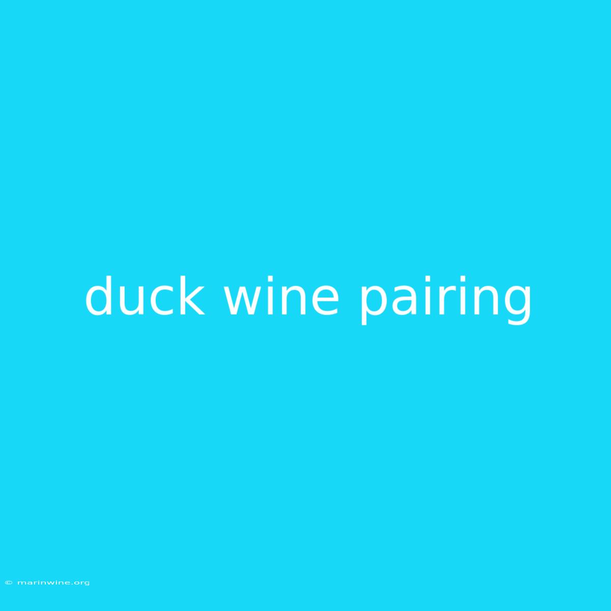 Duck Wine Pairing