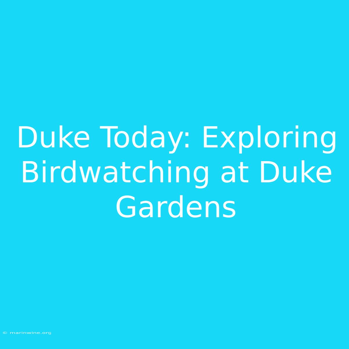 Duke Today: Exploring Birdwatching At Duke Gardens 