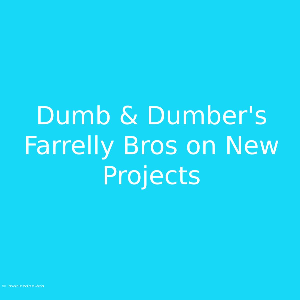 Dumb & Dumber's Farrelly Bros On New Projects