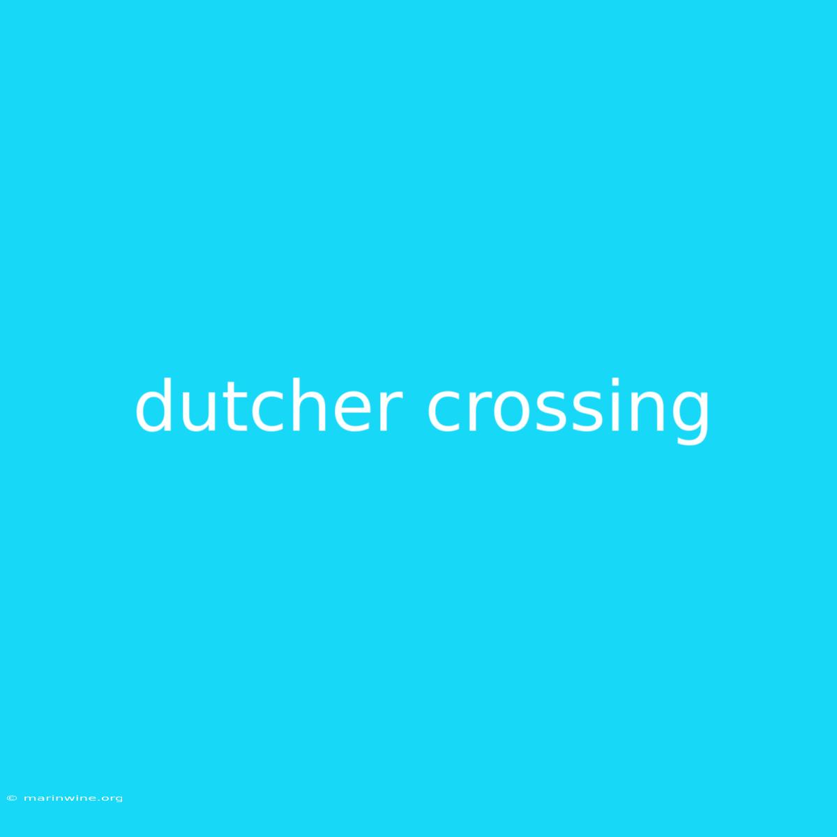 Dutcher Crossing