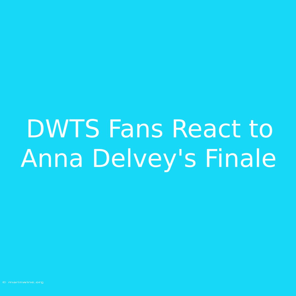 DWTS Fans React To Anna Delvey's Finale