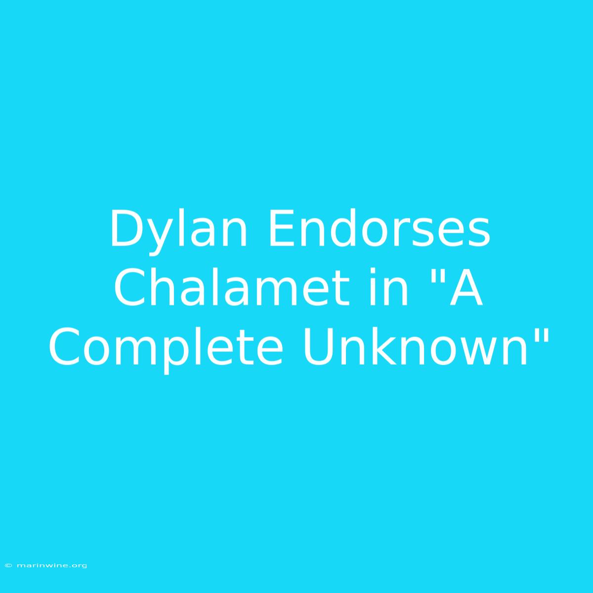 Dylan Endorses Chalamet In 