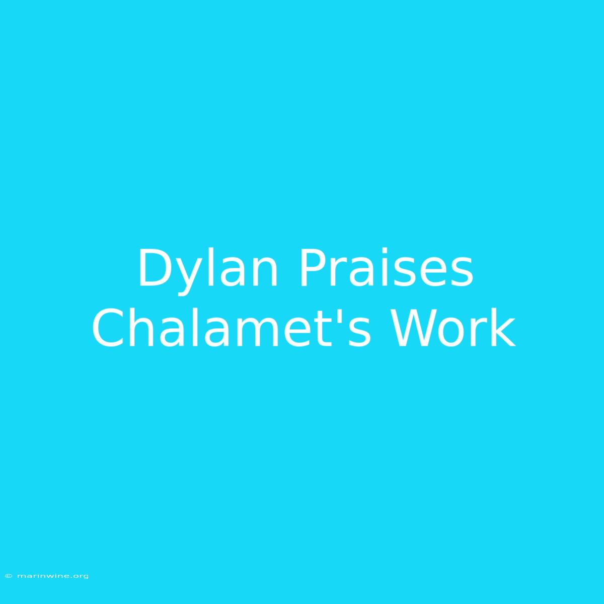 Dylan Praises Chalamet's Work