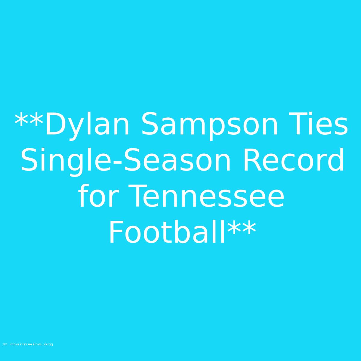 **Dylan Sampson Ties Single-Season Record For Tennessee Football** 