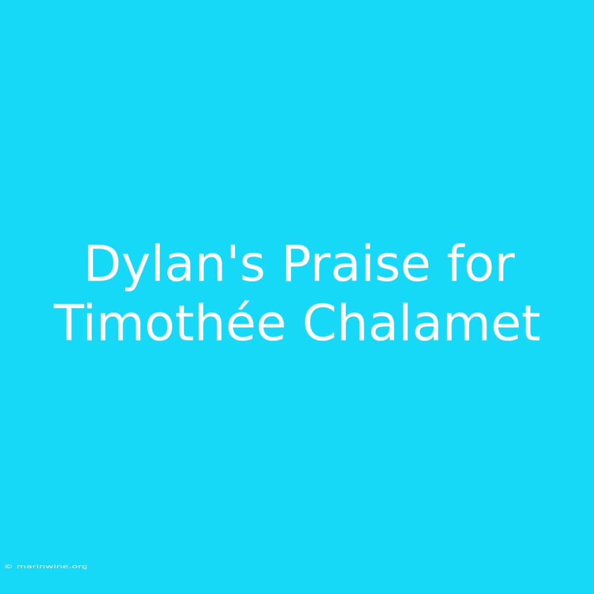 Dylan's Praise For Timothée Chalamet