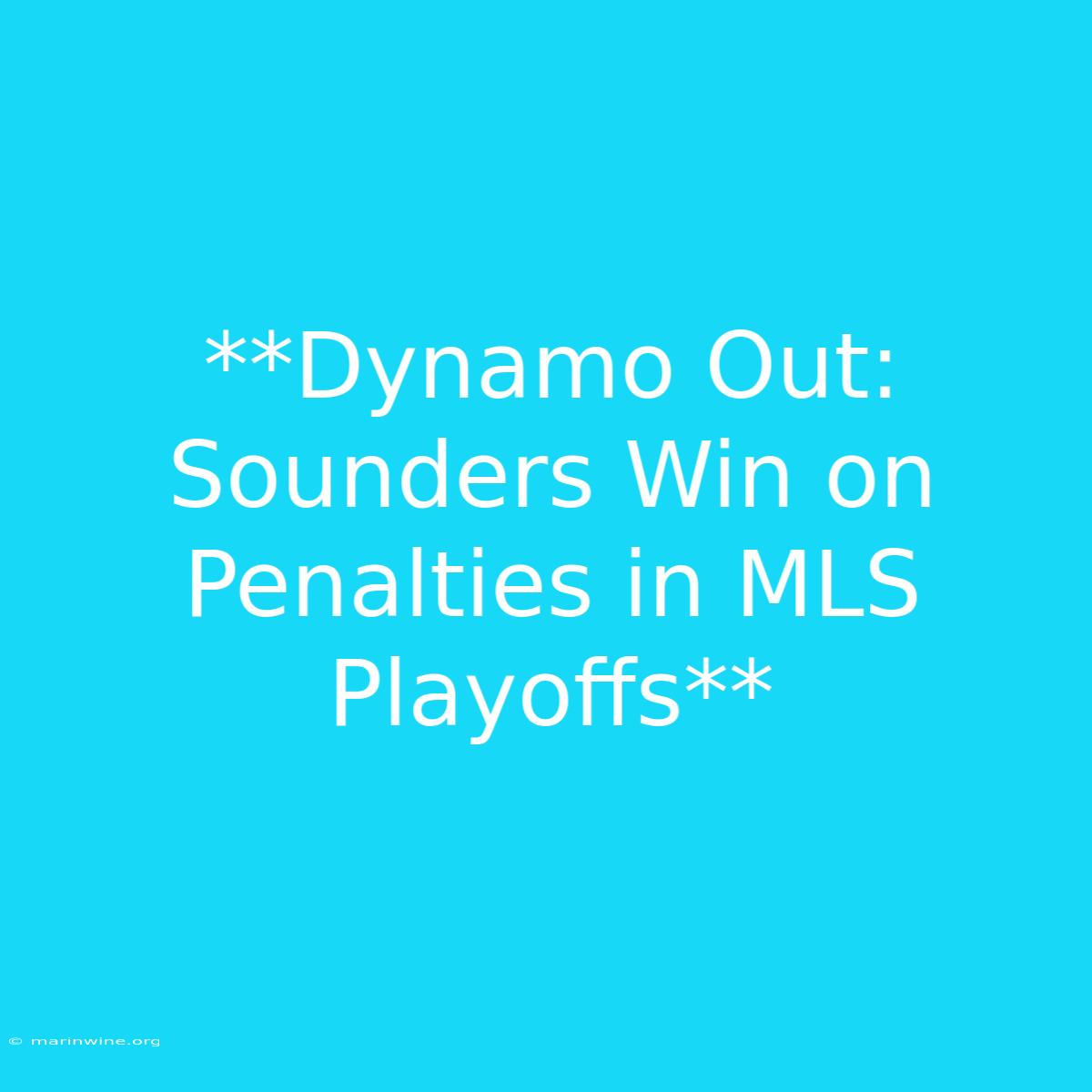 **Dynamo Out: Sounders Win On Penalties In MLS Playoffs** 