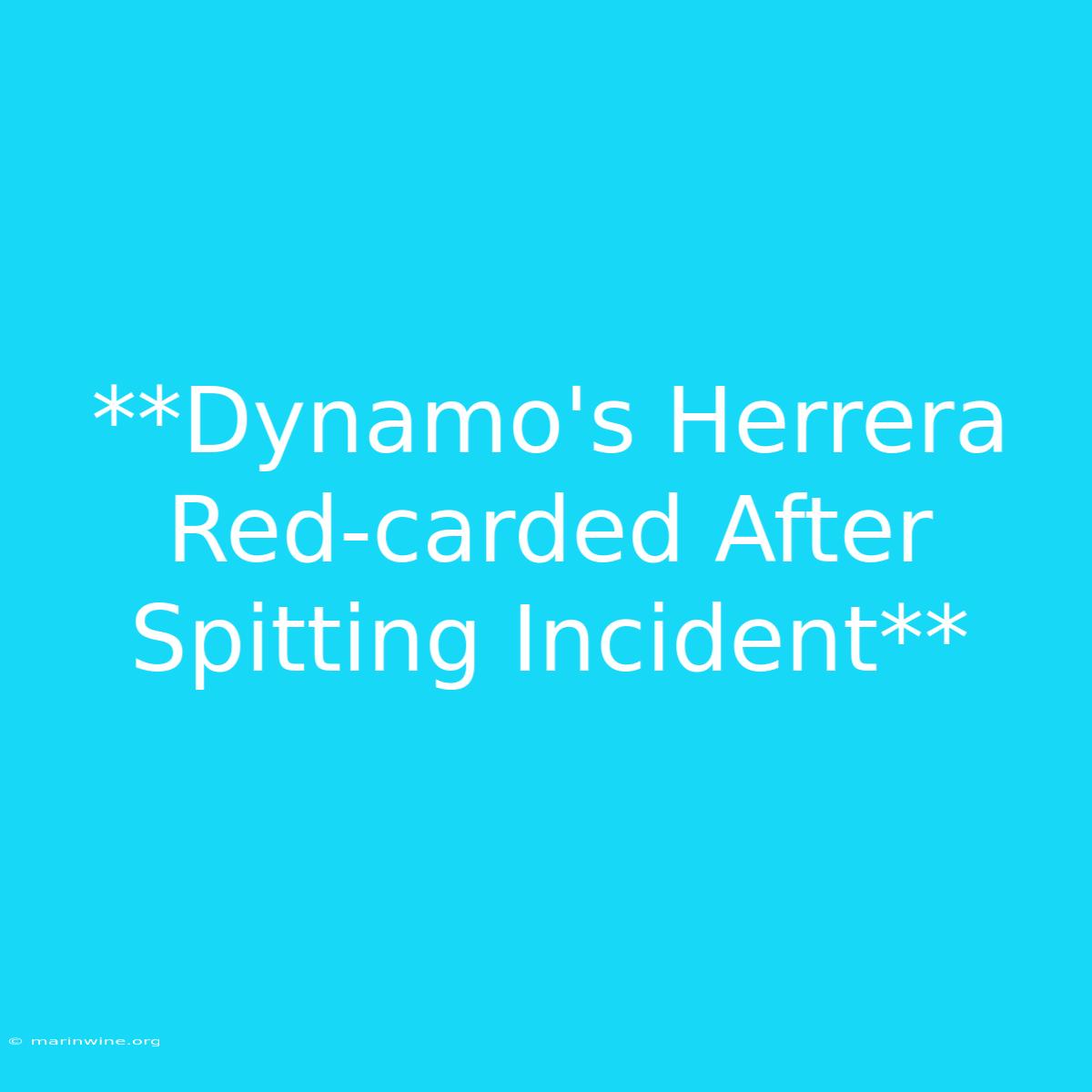 **Dynamo's Herrera Red-carded After Spitting Incident**