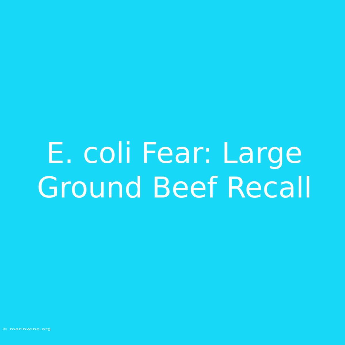 E. Coli Fear: Large Ground Beef Recall