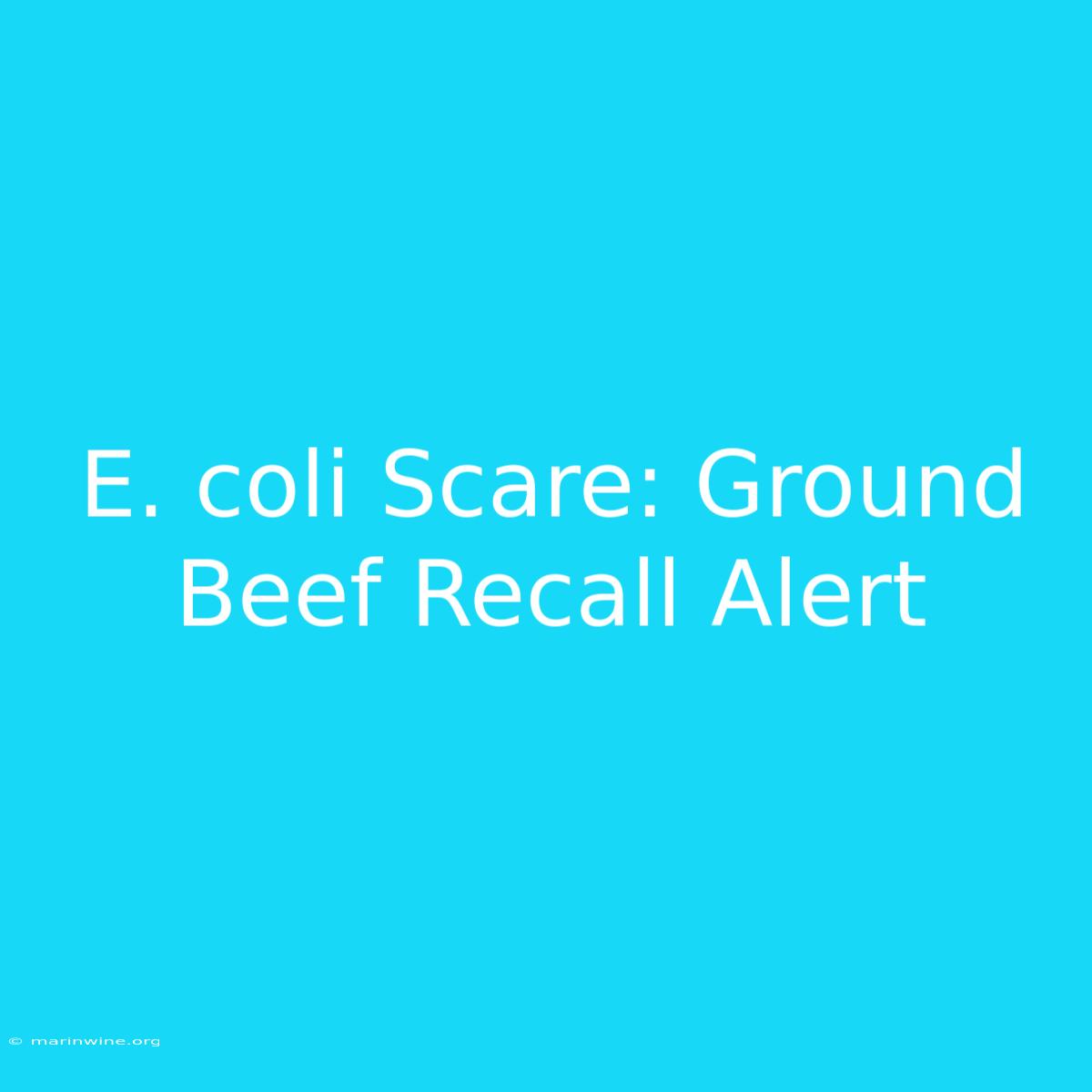 E. Coli Scare: Ground Beef Recall Alert