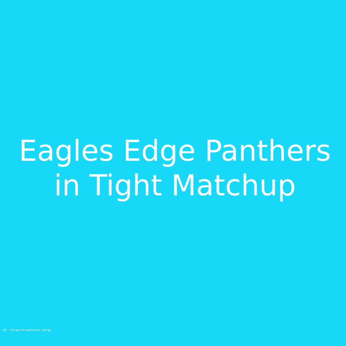 Eagles Edge Panthers In Tight Matchup